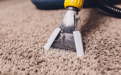 How To Clean Entire Carpet Using an Extractor?