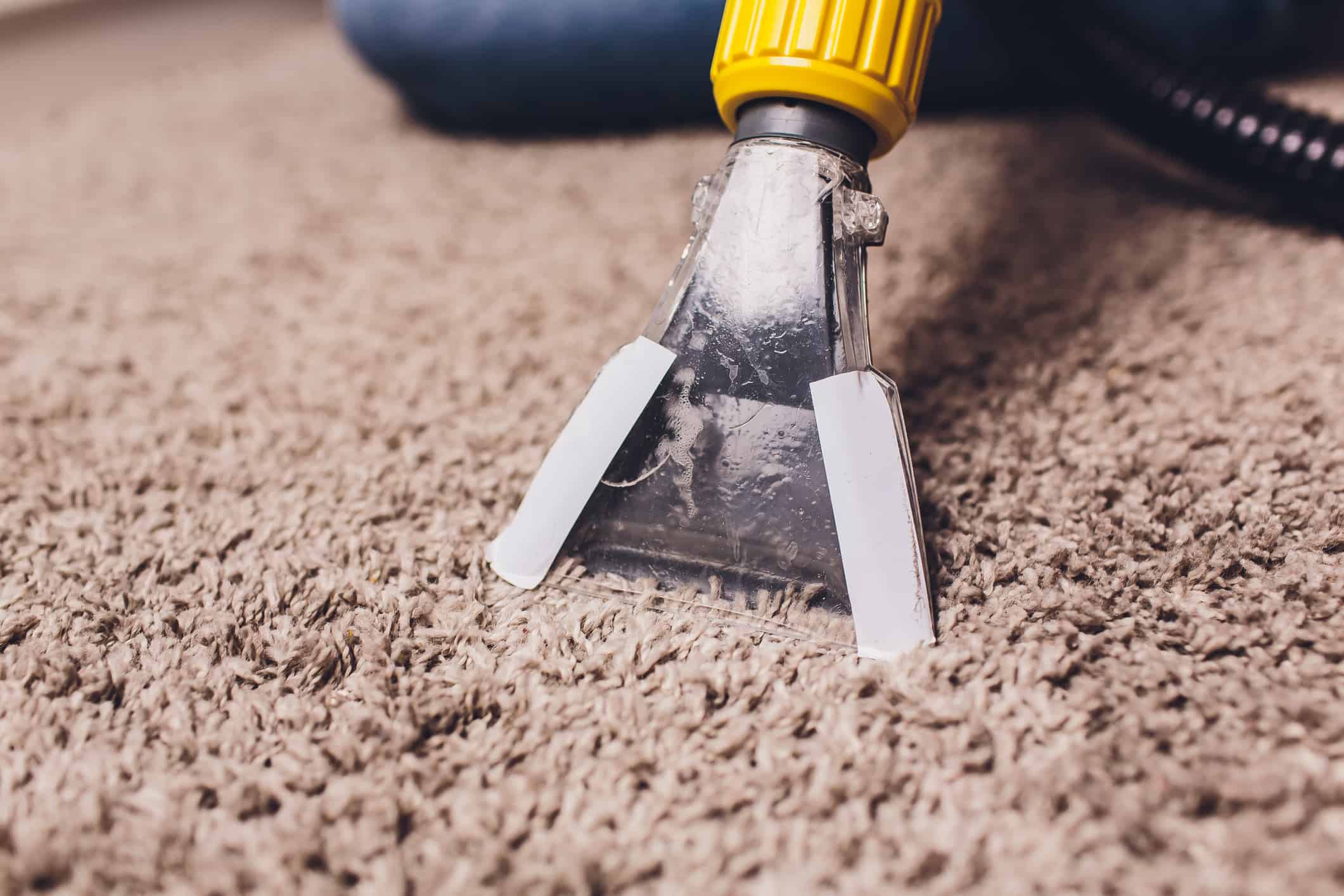 how to clean engine oil out of carpet